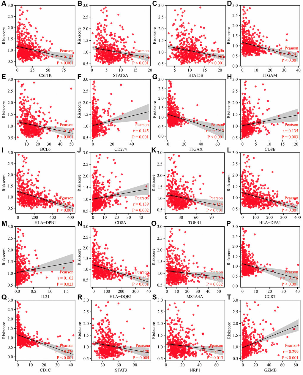 Risk model related to the immune cell markers in LUAD. (A) CSF1R; (B) STAT5A; (C) STAT5B; (D) ITGAM; (E) BCL6; (F) CD274; (G) ITGAX; (H) CD8B; (I) HLA-DPB1; (J) CD8A; (K) TGFB1; (L) HLA-DPA1; (M) IL21; (N) HLA-DQB1; (O) S4A4A; (P) CCR7; (Q) CD1C; (R) STAT3; (S) NRP1; (T)GZMB. Abbreviation: LUAD: lung adenocarcinoma.