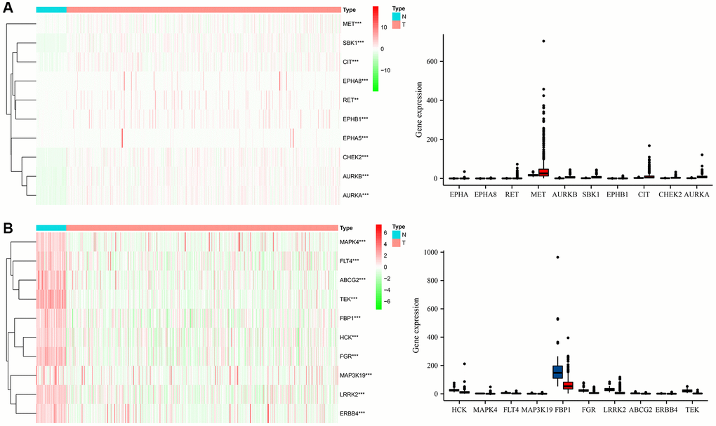 The expression levels of Gefitinib target genes in LUAD tissues. (A) High expression; (B) Low expression. Abbreviations: LUAD: Lung adenocarcinoma; T: LUAD tissues; N: normal tissues.