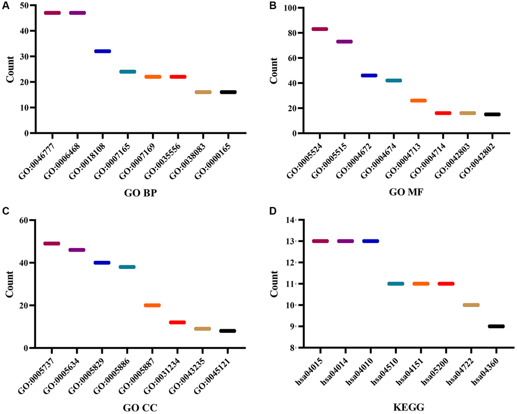 Functions and mechanisms of the DEGTGs. (A) BP; (B) MF; (C) CC; (D) KEGG. Abbreviations: DEGTGs: differentially expressed Gefitinib target genes; GO: gene ontology; KEGG: Kyoto Encyclopedia of Genes and Genomes; BP: biological process; MF: molecular function; CC: cell component.