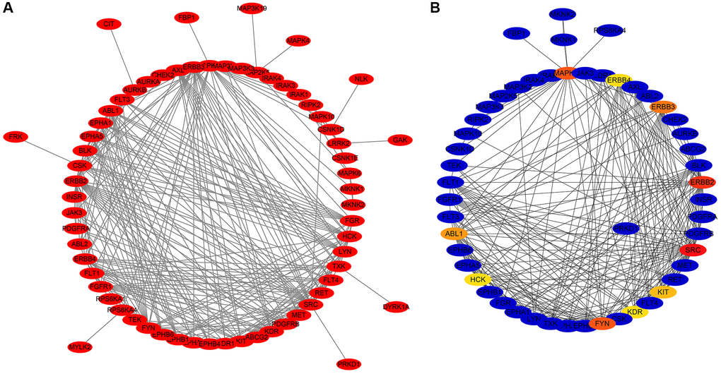 PPI network of the DEGTGs. (A) PPI network; (B) Hub DEGTGs in PPI network. Abbreviations: DEGTGs: differentially expressed Gefitinib target genes; PPI: protein-protein interaction.