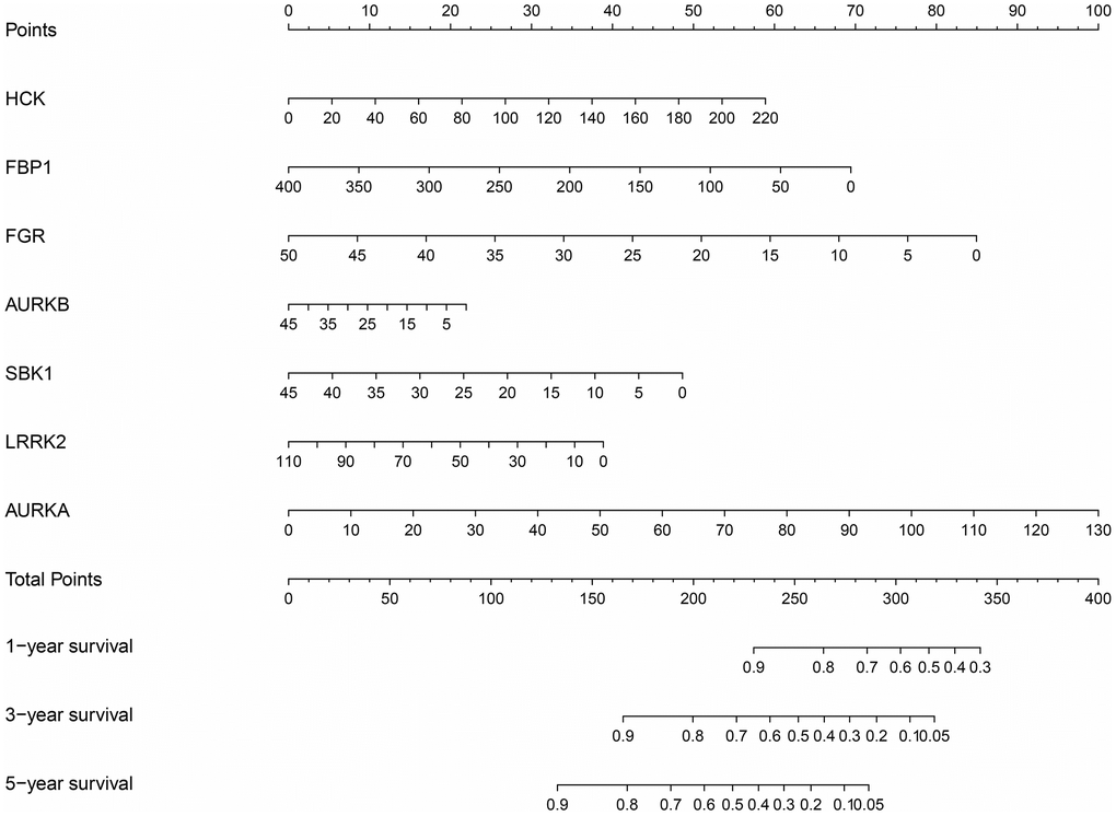 Nomogram of the DEGTGs in LUAD. Abbreviations: DEGTGs: differentially expressed Gefitinib target genes; LUAD: lung adenocarcinoma.