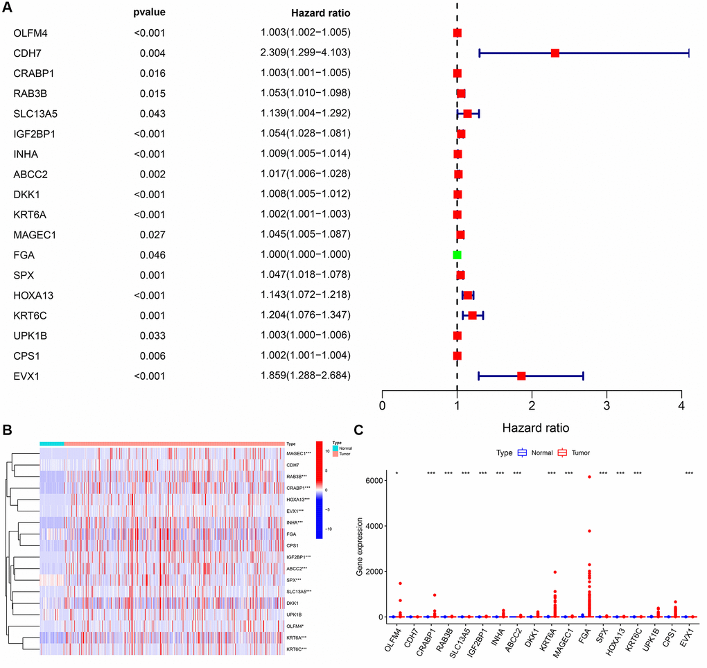 The prognosis values and levels of the DEGTGs in LUAD. (A) Prognosis related genes; (B, C) The levels of DEGTGs in LUAD. Abbreviations: DEGTGs: differentially expressed Gefitinib target genes; LUAD: lung adenocarcinoma.