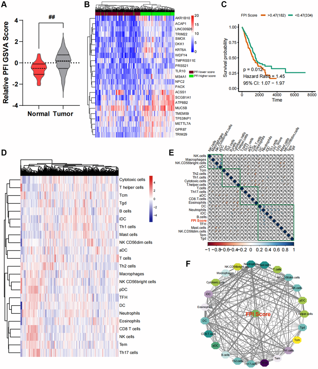 Construction of an interaction network between the ferroptosis index (FPI) and the cancer immune microenvironment. (A) Variance analysis of standardized FPI between normal and cancer tissues in lung cancer. (B) Changes in the expression profile of ferroptosis-related genes. (C) Survival analysis and post-analysis of standardized FPI. (D) Analysis of immune cell infiltration in lung cancer tissues and relative expression abundance. (E) Correlation heat map of relative infiltration values of local immune cells and FPI. (F) Analysis of strongly associated immune cell subpopulations by Pearson correlation, with FPI as the core of regulation.