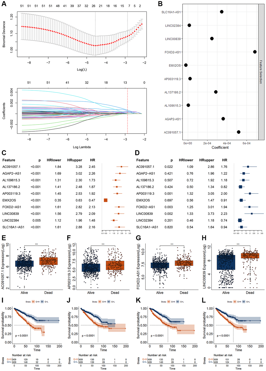 Screening of RCC biomarkers based on DECRLs. (A, B) Feature selection for 53 DECRLs using lasso algorithm. (C, D) Results of univariate (C) and multivariate (D) Cox regression for 10 DECRLs. (E–H) Expression of AC091057.1 (E), AP003119.3 (F), FOXD2-AS1 (G), LINC00839 (H) between alive and dead RCC patients. (I–L) K-M curve of AC091057.1 (I), AP003119.3 (J), FOXD2-AS1 (K), LINC00839 (L) in RCC patients. *p **p ***p 
