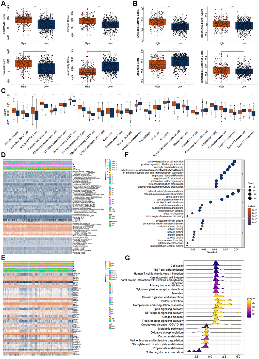 Analysis of immunity in RCC patients based on risk model. (A) Differential expression analysis of tumor microenvironment. (B) Differential expression analysis of tumor related score. (C) Differential expression analysis for the immune score of different immune cells and factors. (D) Differential expression analysis for the immune infiltration of different immune cells and factors. (E) Differential expression analysis for the immune checkpoint point genes between high- and low-risk score group. (F, G) Top 10 enriched GO (F) and KEGG terms (G). *p **p ***p 