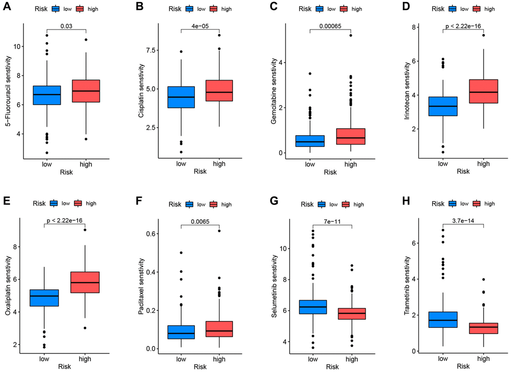 Correlation between drug sensitivity and prognostic risk scores. Low-risk patients were sensitive to 5-fluorouracil (A), cisplatin (B), gemcitabine (C), irinotecan (D), oxaliplatin (E), and paclitaxel (F). High-risk patients were sensitive to selumetinib (G) and trametinib (H).