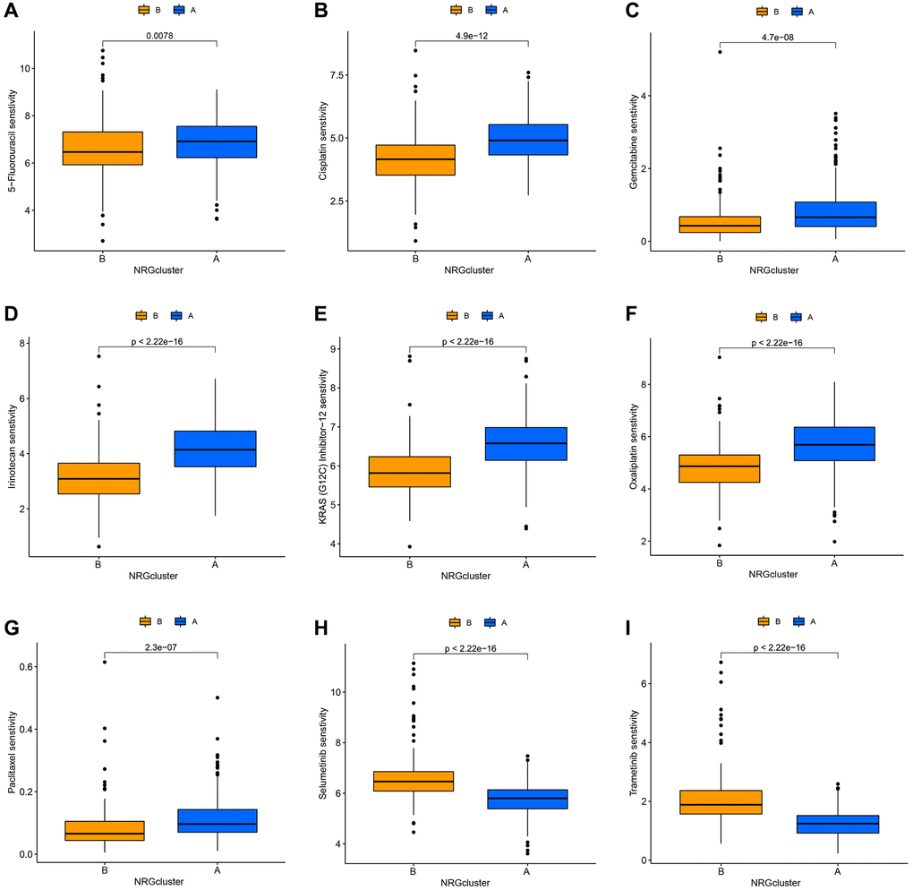 Correlation between neutrophil-related genes (NRGs) cluster subtypes and drug sensitivity. Increased sensitivity of NRGcluster B to 5-fluorouracil (A), cisplatin (B), KRAS (G12C) inhibitor-12 (C), gemcitabine (D), irinotecan (E), oxaliplatin (F), and paclitaxel (G), increased sensitivity of NRGcluster A to selumetinib (H) and trametinib (I).