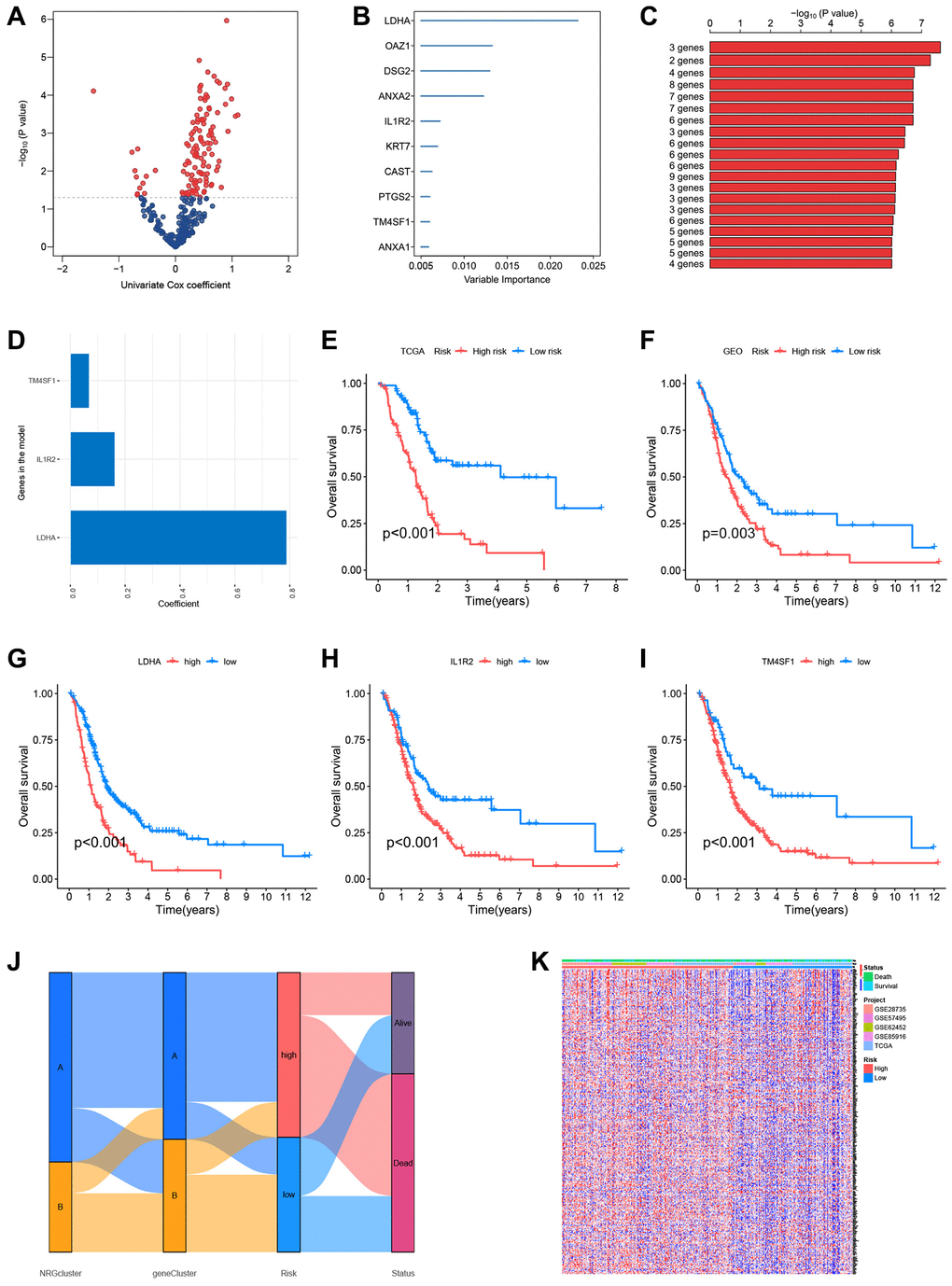 Construction of the prognostic risk score model. (A) Volcano plot of univariate Cox regression analysis results. Red dots represent neutrophil-related genes associated with pancreatic cancer prognosis. (B) Random survival forest analysis identified the top 10 important genes. (C) After survival analysis of 210−1 = 1023 combinations, the top 20 models were sorted according to P-values. The best model comprised three genes. (D) Coefficients of genes in the model. (E) The Cancer Genome Atlas (TCGA) dataset (Kaplan-Meir curve of the training set). (F) GSE28735, GSE62452, GSE57495, and GSE85916 datasets from the Gene Expression Omnibus (GEO) platform (Kaplan-Meir curves of the validation set). Survival curves of patients according to the expression of LDHA (G), IL1R2 (H), and TM4SF1 (I). (J) Sankey plots of different subtypes, risk groups, and survival states. (K) The expression of neutrophil-associated genes in high-risk and low-risk groups, most neutrophil-associated genes are upregulated in the high-risk groups.