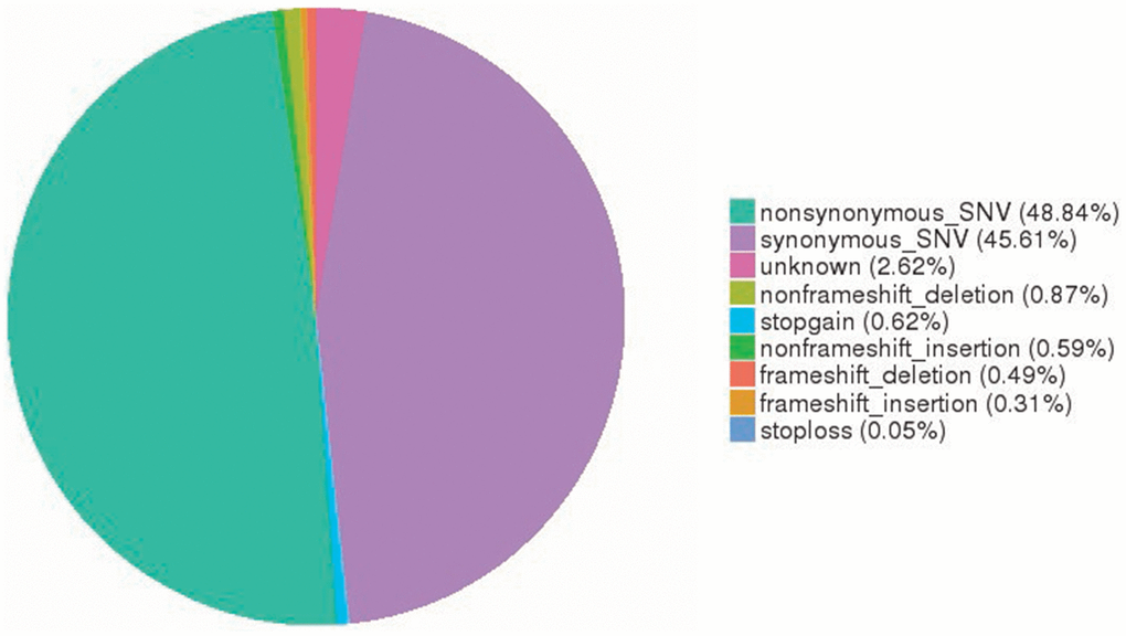 Somatic SNV signatures in OC. A total of 52,464 somatic SNVs (25,623 nonsynonymous and 23,929 synonymous SNVs) were identified in OC exomes. SNV, single nucleotide variant; OC, ovarian cancer.