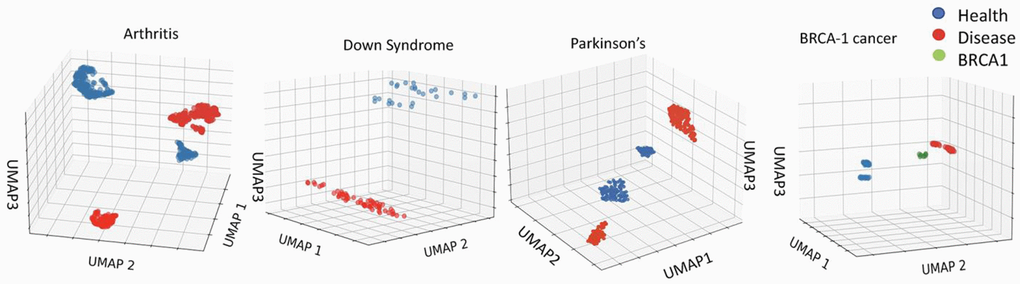 Robust epigenetic differences between health and disease are clear in the 450K datasets. Distinct clustering of DNAme of healthy vs. disease cohorts. UMAP on the 450Kcytosinedataset for Arthritis, Down Syndrome, Parkinson’s Disease and BRCA1 studies (see Methods for dataset identifiers). Each point represents an individual. The clustering of healthy, cancer, and BRCA1 mutation yet no cancer cohorts is distinct for each dataset.