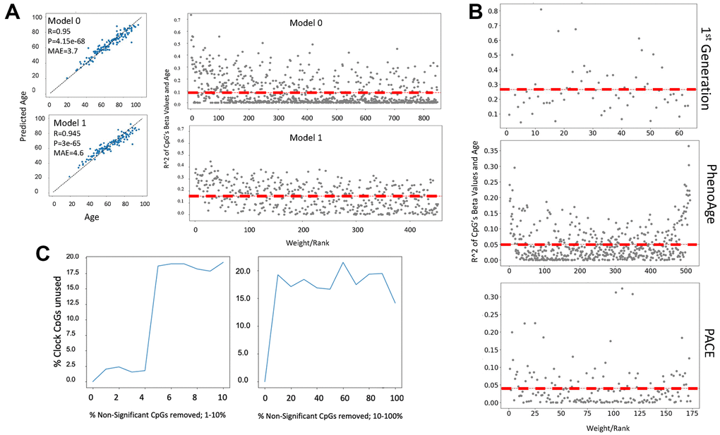 Cytosine ranking by EN is not based on the changes in methylation with age. (A) DNAme clock was constructed with EN regression on a 450K array dataset (GSE40279, N=656), and the test set prediction performance is shown (Model 0). The selected clock cytosines were removed, the model was retrained, and model performance on the test set is shown (Model 1). Scatter plot of the coefficient of variation for each clock cytosine individually regressed on age plotted against their rank by their absolute weights. The mean coefficient of variation of the clock cytosines are shown as red dashed lines. The cytosines of Model 1, e.g., those which were minimized to zero in Model 0, have a higher mean R2, despite being slightly less accurate. (B) Scatter plots of the coefficient of variation for the cytosines regressed on age are plotted against their rank/EN weights of the published 1st generation Hannum clock, PhenoAge and PACE. (C) An EN clock was trained with a 450K dataset (GSE40279), then non-clock cytosines were randomly removed: independently in a stepwise fashion. After each iteration of removal, a new EN model was trained and the selected set of cytosines was compared to the set of original clock cytosines. Non-clock cytosines were removed in one percent increments from 0-10% (left panel) and 10% increments from 10-100% (right panel). At 2% of removal of the non-clock cytosines, the cytosine set selected by EN began significantly changing. The percentage of unused original cytosines plateau at 17% in both gradual (1% at a time) and rapid (10% at a time) removal of the non-clock cytosines.