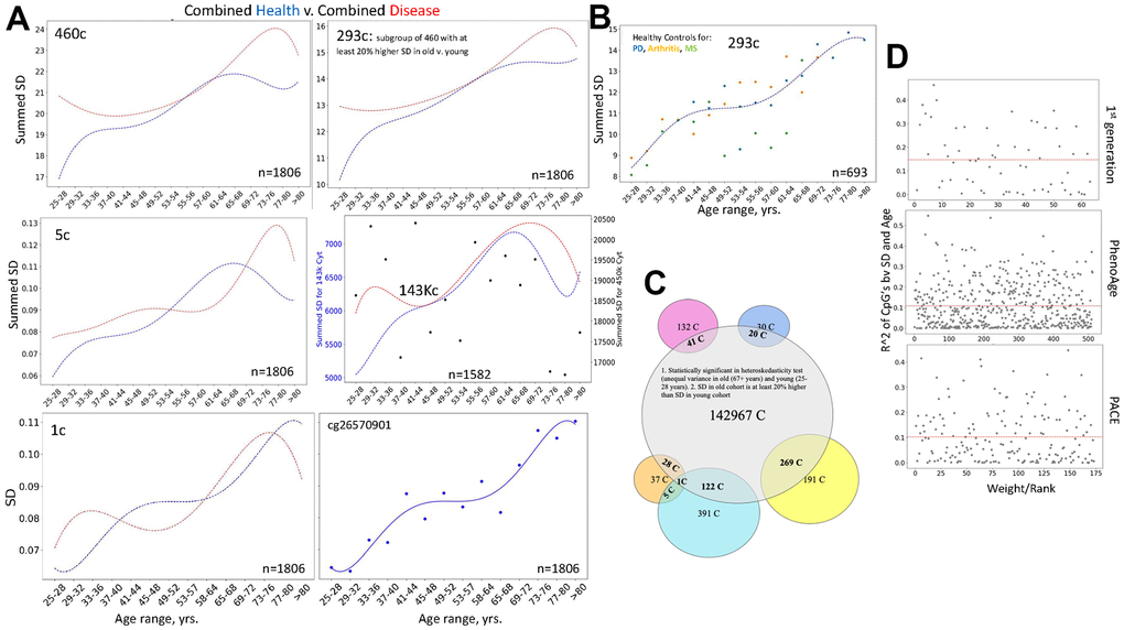 The fundamental paradigm of noise barometer; DNAme clocks do not rely on DNAme noise. (A) Shown are polynomial fit curves of the chronological age v. sums of 460-, 293-, 5 SDs, SD and the dot plot line-fit of a single cytosine from the most regulated in young group, and the sums of 143, 448 SDs of all heteroscedastic cytosines with 20% or larger SD in old than young; the unfiltered 450K summed SDs are the black dot scatter that is overlaid with the 143, 448 (143K) line graph. These data are on the six combined datasets of patients with various diseases (red lines) and their healthy controls (blue lines). All noise detectors, but not the unfiltered 450K DNAme cytosines, outline a similar progression of biological aging of the healthy subjects, clearly distinguishing it from the disease-influenced changes. Each dot is the age range. (B) Dashed blue line shows the Median of summed SDs of three DNAme array healthy controls datasets that have the most samples (Arthritis, MS, and PD); this Median line is overlayed with the dot plots of each of these individual datasets, color-coded. Each dot is the age range. (C) Venn Diagrams show the presence of the 143K cytosines in the 50 and 460 noise barometers and in the DNAme EN clocks, color-coding is the same, as in Figure 5. (D) Scatter plots of the coefficient of variation of the cytosines’ SD regressed on age are plotted against their rank/EN weights for the published 1st generation clock, PhenoAge and PACE, [1–5].