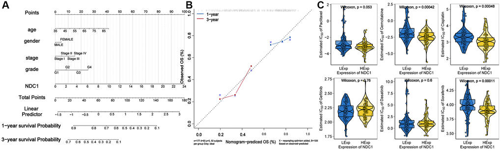 (A) Nomogram established for prognosis of PAAD. (B) Calibration curves for 1- and 3-year survival of PAAD. (C) Chemosensitivity of NDC1 in PAAD.