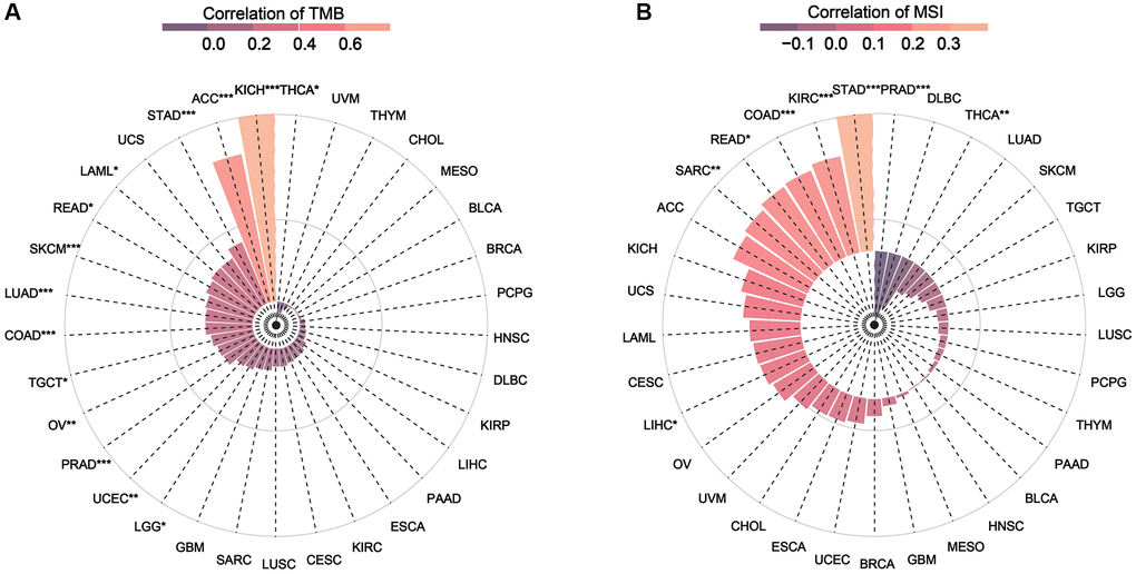 (A) Relationship between TMB and NDC1 expression in pan-cancer. (B) Relationship between MSI and NDC1 expression in pan-cancer. The correlation increases from purple to pink.