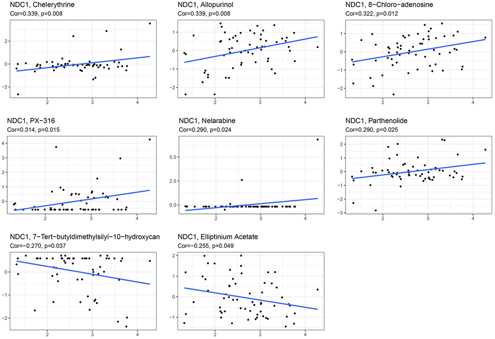 Correlation between NDC1 expression and IC50 of multiple anti-tumor drugs, including Chelerythrine, Allopurinol, 8-Chloro-adenosine, PX-316, Nelarabine, Parthenolide, 7-Tert-butyldimethylsilyl-10-hydroxycamptothecin and Elliptinium Acetate.