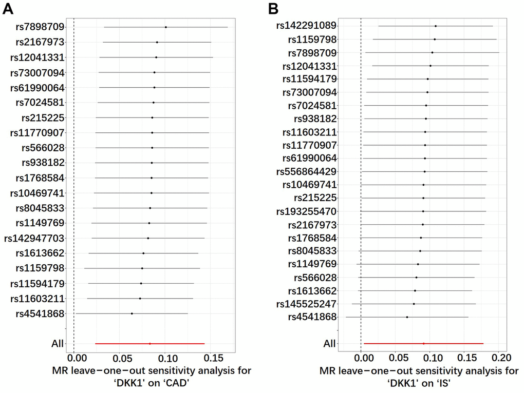 Sensitivity analyses using the leave-one-out approach on the association of DKK1 with CAD and IS. (A) DKK1-CAD; (B) DKK1-IS. Each black dot represents an IVW method to estimate the causal effect of the exposures on the CAD and IS. The presence of a particular SNP causing a significant change in the overall results is not excluded. DKK1, Dickkopf-related protein 1; CAD, coronary artery disease; IS, ischemic stroke; SNP, single nucleotide polymorphism; IVW, inverse variance weighted.