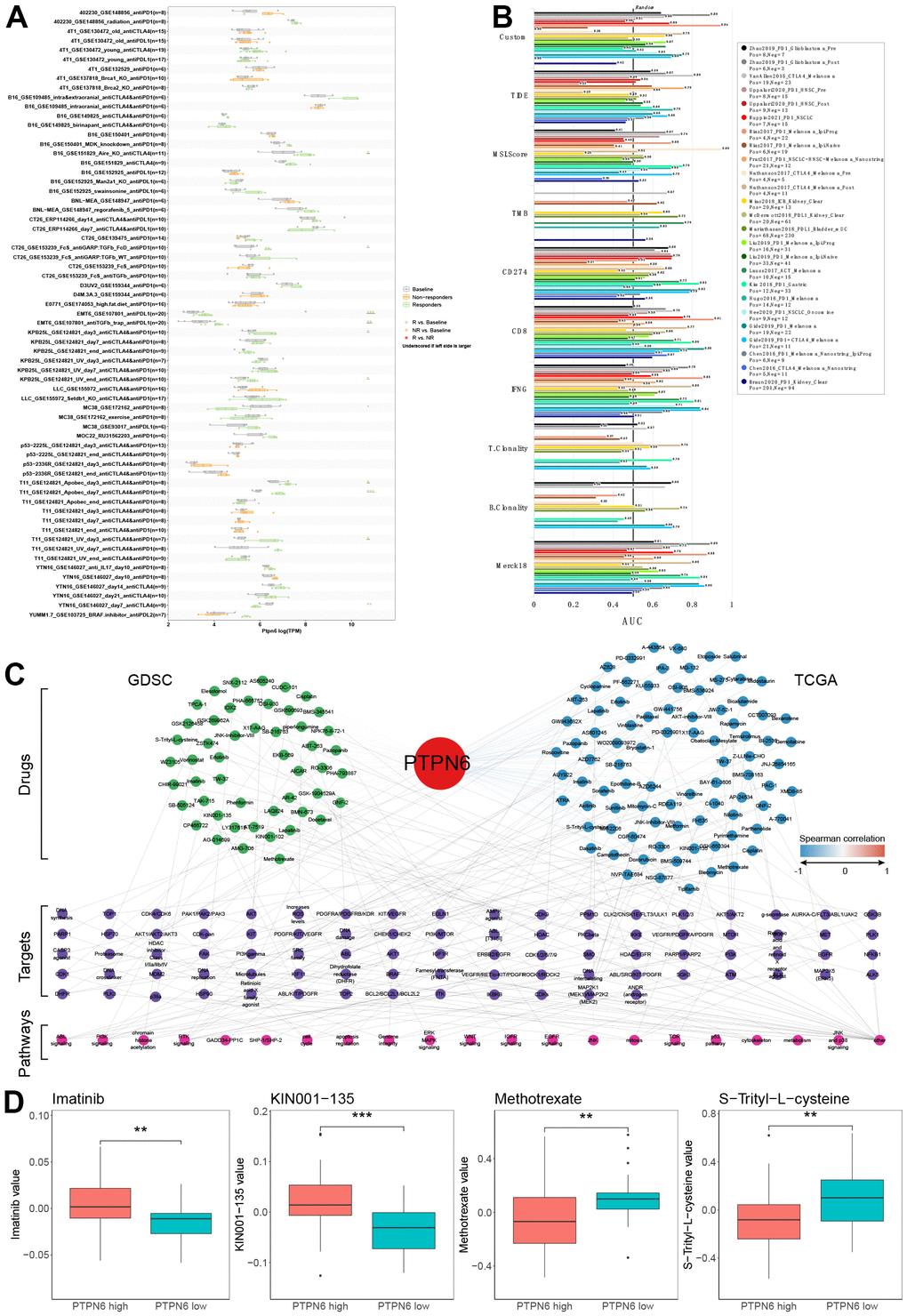 Evaluation of PTPN6 clinical significance. (A) Immunotherapy response of PTPN6 in immunotherapy cohorts. (B) Biomarker relevance of PTPN6 in immunotherapy cohorts. (C) Anti-drug response of PTPN6 in GDSC and TCGA databases. (D) Representative drugs in TCGA database.