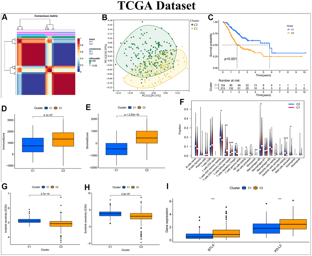 Construction of a NMF subtype based on the differentially expressed HP-related genes in the TCGA-STAD cohort. (A) NMF consensus clustering for k = 2. (B) Kaplan–Meier analysis of overall survival (OS) for Cluster C1 and C2. (C) Principal component analysis (PCA). (D, E) Differential analyses of immune and stromal score between Cluster C1 and C2. (F) Violin plot showing the immune cell infiltration landscape across different clusters. (G, H) Box plot of estimated IC50 values for Imatinib and Sunitinib in Cluster C1 and C2. (I) Box plot visualizing the significant expression differences of immune checkpoints across distinct clusters, including BTLA and PD-L2. *:P