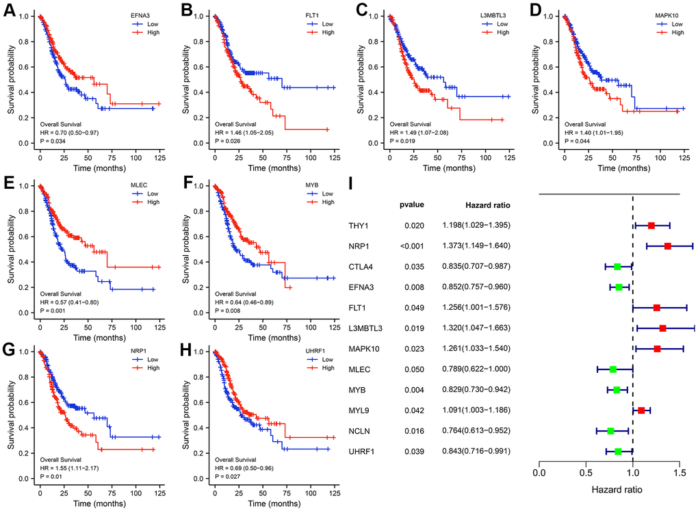 Kaplan-Meier (K-M) survival curves of the hub genes. (A) EFNA3. (B) FLT1. (C) L3MBTL3. (D) MAPK10. (E) MLEC. (F) MYB. (G) NRP1. (H) UHRF1. Univariate Cox regression analysis of the twelve hub genes. (I) Forest plot showing the prognostic values of hub genes.