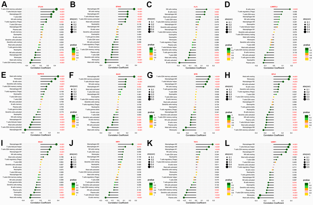 The immune-infiltrating landscape of GC based on the twelve hub genes. (A–L) Lollipop plots revealing the association between the twelve hub genes and the infiltration level of various immune cells.