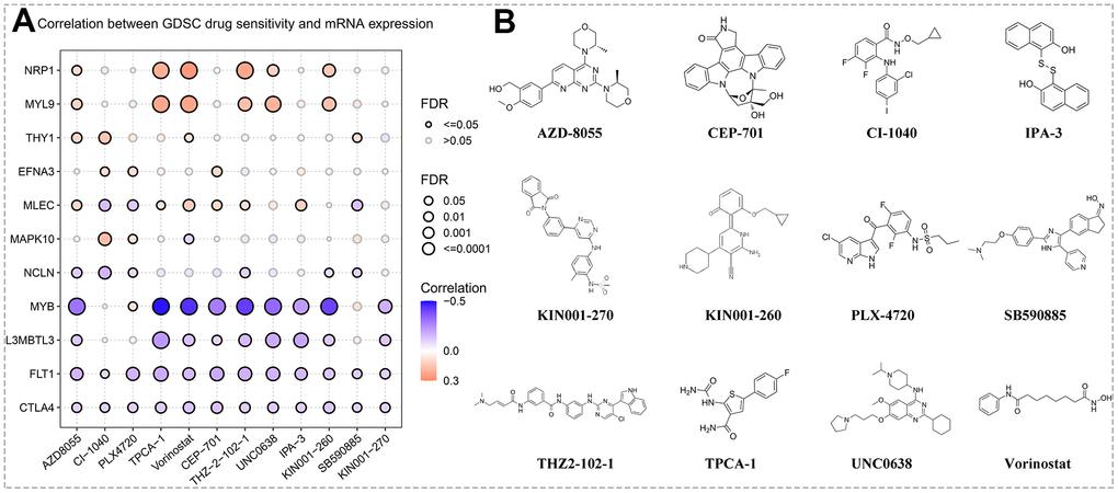 Prediction of drug sensitivity. (A) Correlation between hub gene expression levels and GSDC drug sensitivity via the online search tool GSCA. (B) Structural formulas of the sensitive agents (including AZD8055, CI-1040, PLX4720, TPCA-1, Vorinostat, CEP-701, THZ-2-102-1, UNC0638, IPA-3, KIN001-260, SB590885, and KIN001-270).