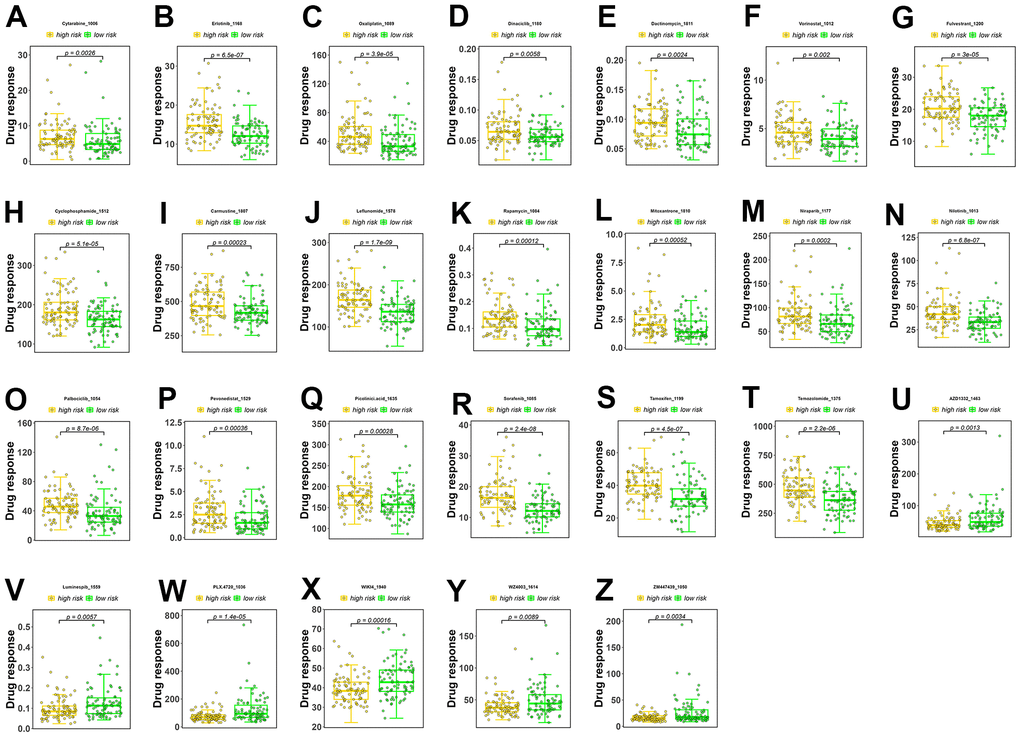 Drug sensitivity analysis. (A–T) Drugs with higher sensitivity in the low-risk group. (U–Z) Drugs with higher sensitivity in the high-risk group. The Y axis is IC50.