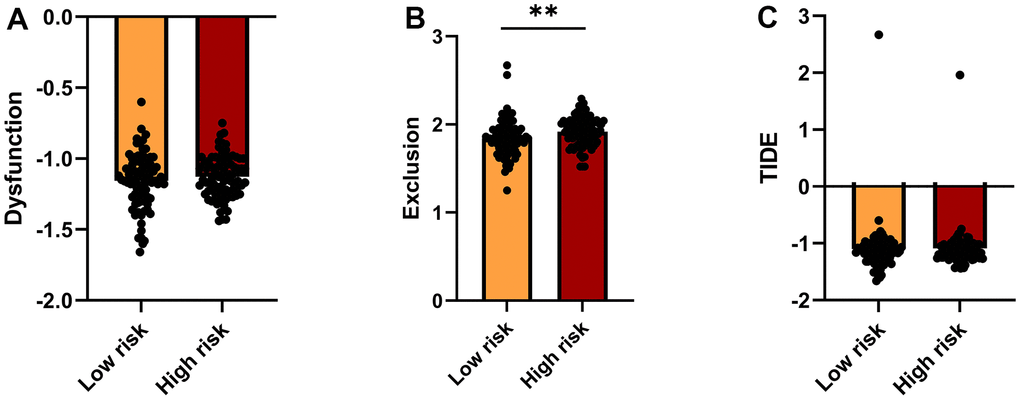 TIDE analysis of immunotherapy response. (A–C) TIDE-based Dysfunction scores (A), Exclusion scores (B), and overall TIDE scores (C) for the high- and low-risk groups.