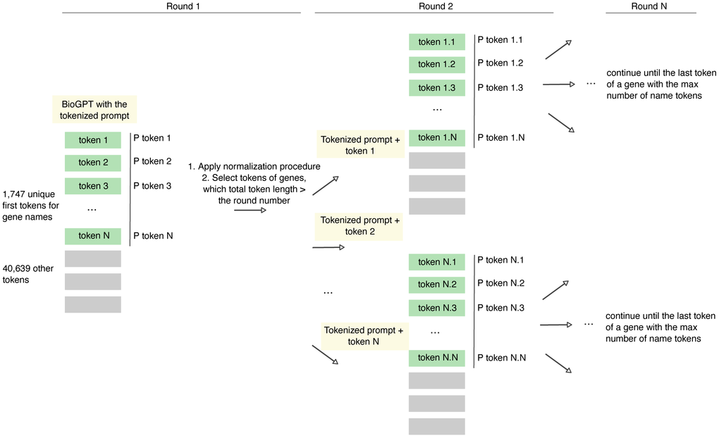 Overview of the established approach of the retrieval of the next token probability using BioGPT model.