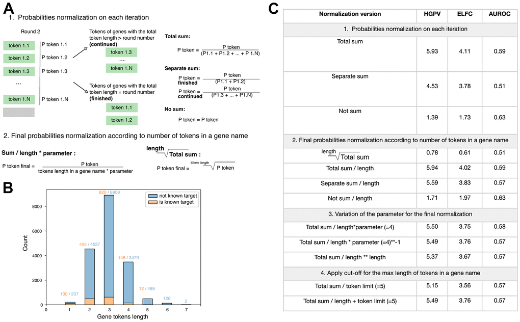 Variations of the token probability normalization. (A) Strategies for probability normalization at the step of the individual token probability retrieval (1) and final calculation of the total gene probability based on the tokens within its name (2). (B) Distribution of token lengths for protein-coding genes, for which the therapeutics are available (“is known target”) and not (“not known target”). (C) Validation metrics for the approaches of gene tokens normalization in the target identification task.