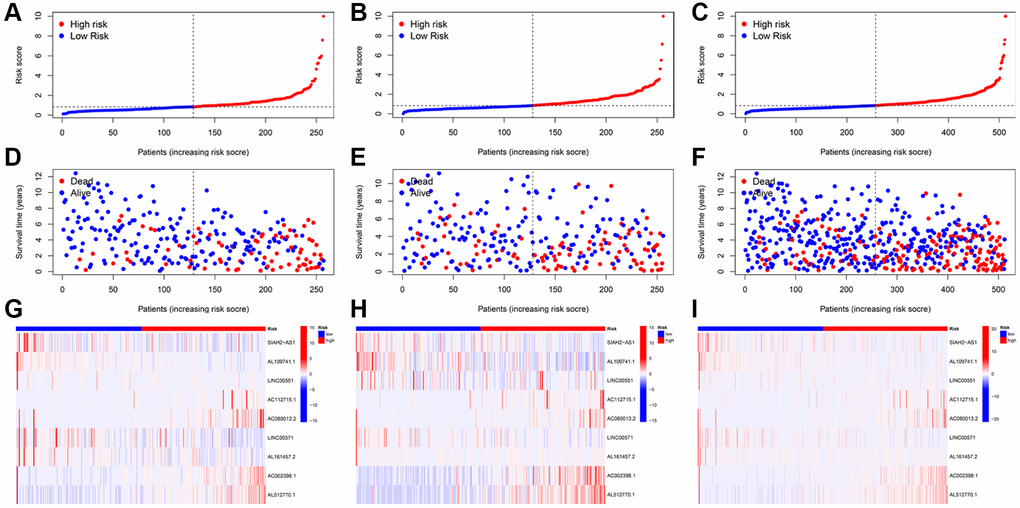 Prognosis value of the TRLs prognostic signature in the training; testing; and entire cohorts; respectively. (A–C) The distributions of risk scores. (D–F) The survival time and survival status. (G–I) Heatmaps of 9 TRLs expression.