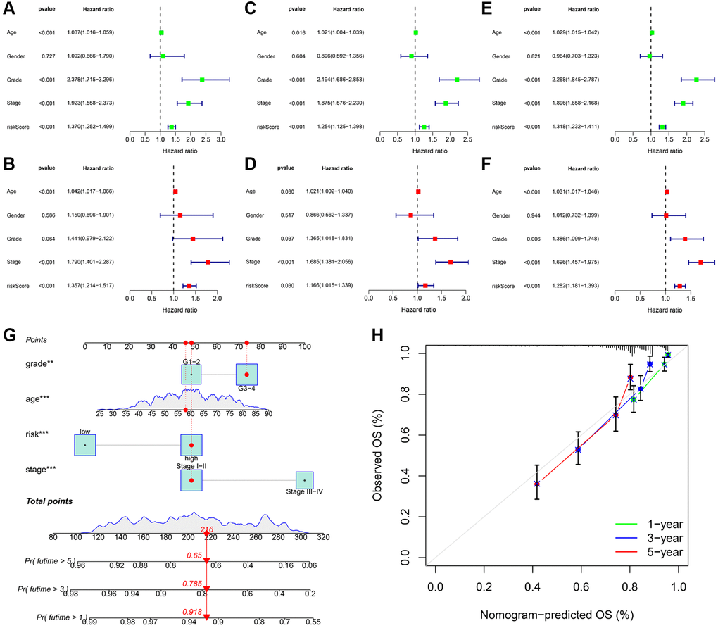 Independent prognostic validation of risk signatures and development of clinical nomogram. Univariate and multivariate Cox regression analysis results were presented in the form of forest plots in the training (A, B); testing (C, D); and entire (E, F) cohorts; respectively. (G) Nomogram to quantitatively predict 1; 3; and 5-year OS in KIRC patients. (H) The calibration curves of this nomogram.