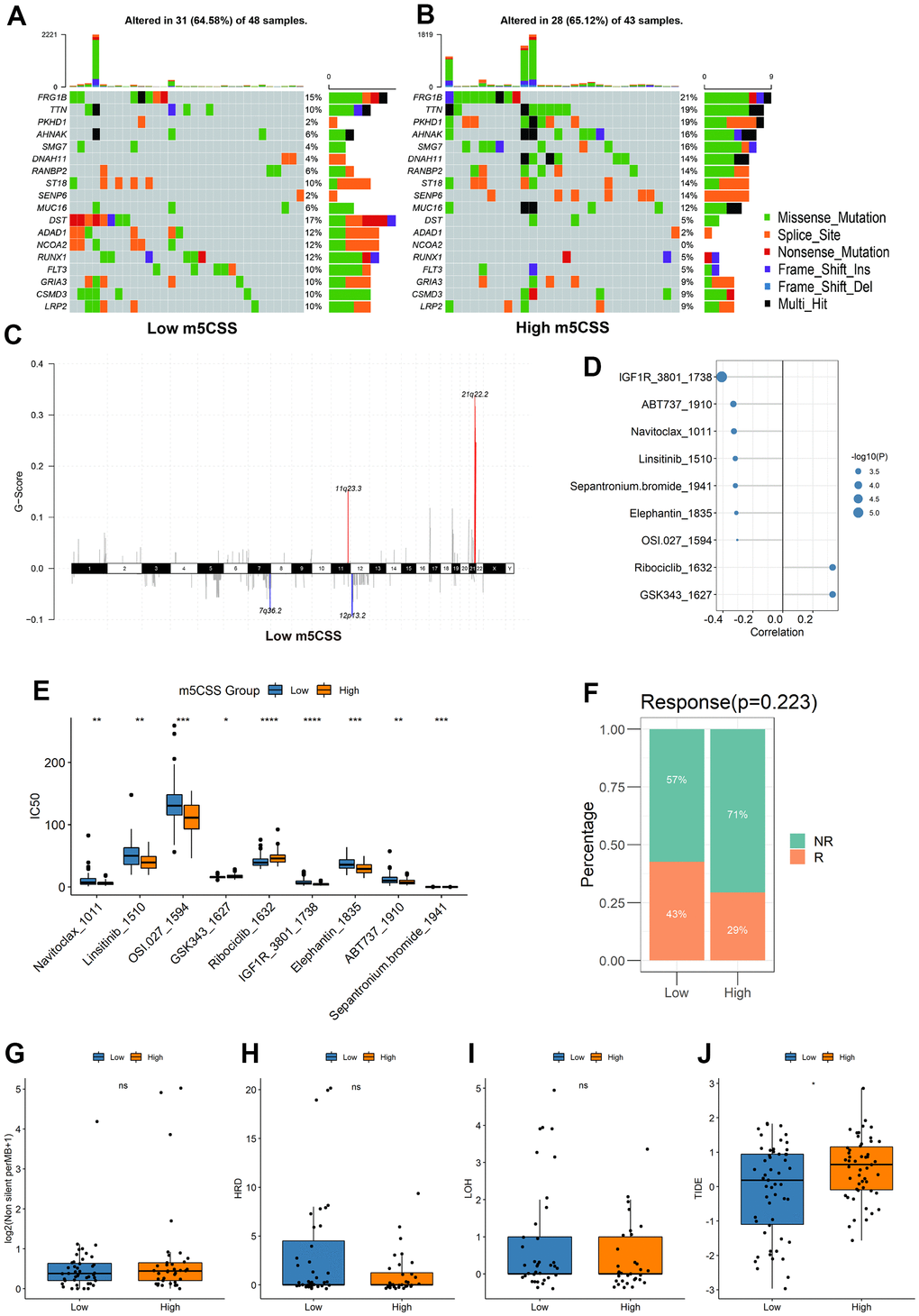 Distribution of m5C score in clinical characteristics samples and m5C subtypes. (A, B) Differences in mutations between high and low m5C score groups, (C) differences in copy number variants, (D) correlation between m5C score and drugs, (E) differences in drug resistance between high and low score groups, (F) proportion of patients responding to immunotherapy, differences in (G) TMB, (H) HRD, (I) LOH, (J) TIDE between high and low score groups.