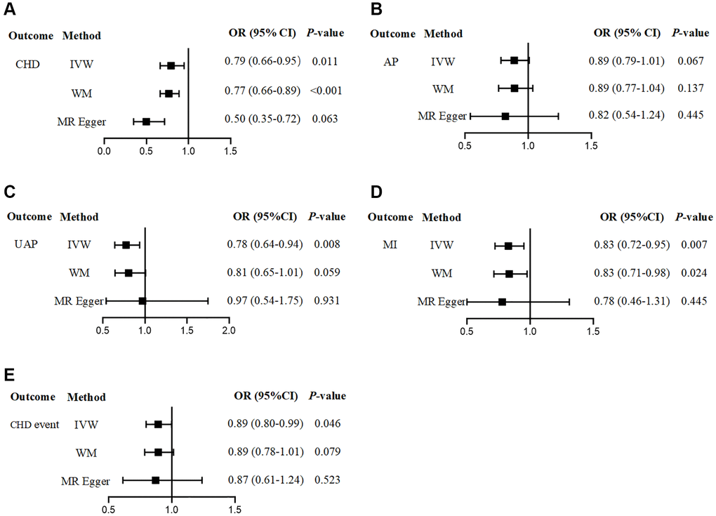 The effect of genetically determined circulating PlGF level on the risk of CHD. (A) CHD; (B) AP; (C) UAP; (D) MI; (E) CHD event. Abbreviations: CHD: coronary artery disease; AP: angina pectoris; UAP: unstable angina pectoris; MI: myocardial infarction.