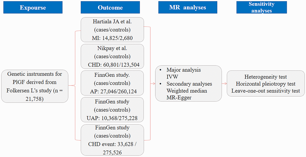 Flowchart of the study design overview. Abbreviations: PlGF: placental growth factor; CHD: coronary artery disease; AP: angina pectoris; UAP: unstable angina pectoris; MI: myocardial infarction; IVW: inverse variance weighted; MR: Mendelian randomization.