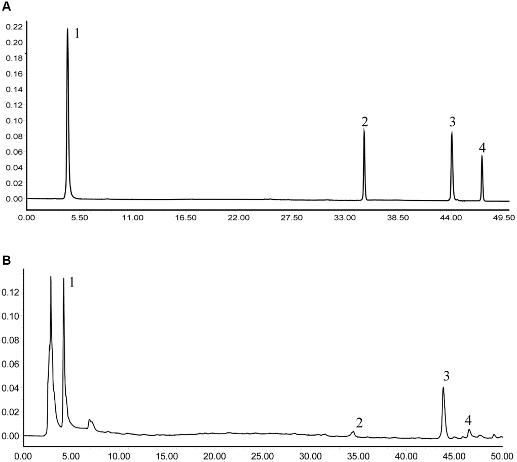 The HPLC analysis of SMY and its main components, including 5-HMF (1), lobetyolin (2), Schisandrin B (3), schizandrin (4). (A) Standards. (B) Samples.