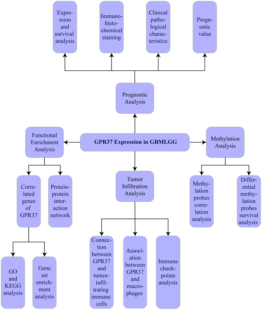 Flow chart of the study.