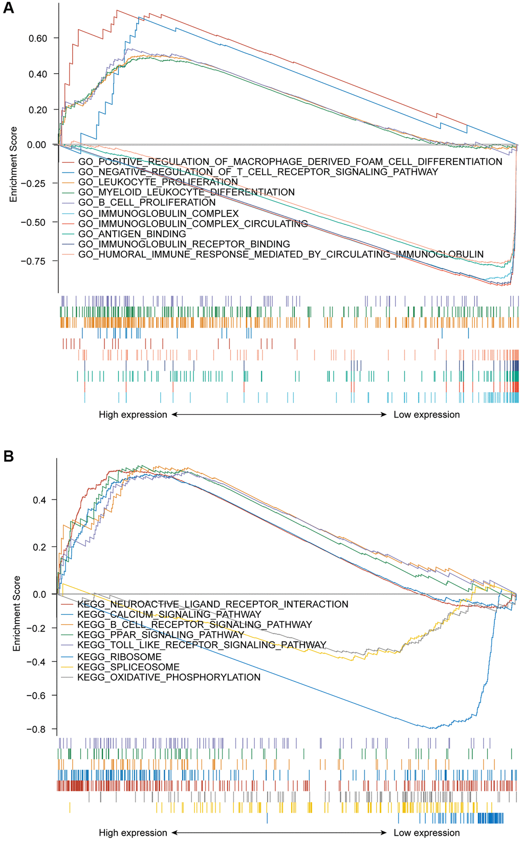 (A) GSEA results showing differential enrichment of GO terms as a function of GPR37 expression. Top 5 GO terms for GPR37high- positive regulation of macrophage derived foam cell differentiation, negative regulation of T cell receptor signaling pathway, leukocyte proliferation, B cell proliferation and myeloid leukocyte differentiation. Top 5 GO terms for GPR37low- immunoglobulin complex, immunoglobulin complex circulating, antigen binding, immunoglobulin receptor binding and humoral immune response mediated by circulating immunoglobulin. (B) GSEA results showing differential enrichment of KEGG pathways as a function of GPR37. Top 5 KEGG pathways for GPR37high-neuroactive ligand receptor interaction, calcium signaling pathway, B cell receptor signaling pathway, PPAR signaling pathway and toll like receptor signaling pathway. Two KEGG pathways in GPR37low- ribosome, spliceosome and oxidative phosphorylation. All results of GSEA were based on NES, adjusted P value and FDR value. GSEA, gene set enrichment analysis.