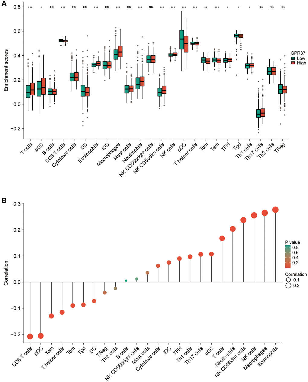 (A) Correlation between GPR37 expression and 24 tumor-infiltrating immune cell types. (B) Eosinophils, Macrophages, NK cells, Neutrophils and T cells were positively connected with GPR37 expression, while CD8 T cells, pDCs, Tem, T helper cells, Tcm, and Tgd were negatively correlated. ns, p ≥ 0.05; *p **p ***p 