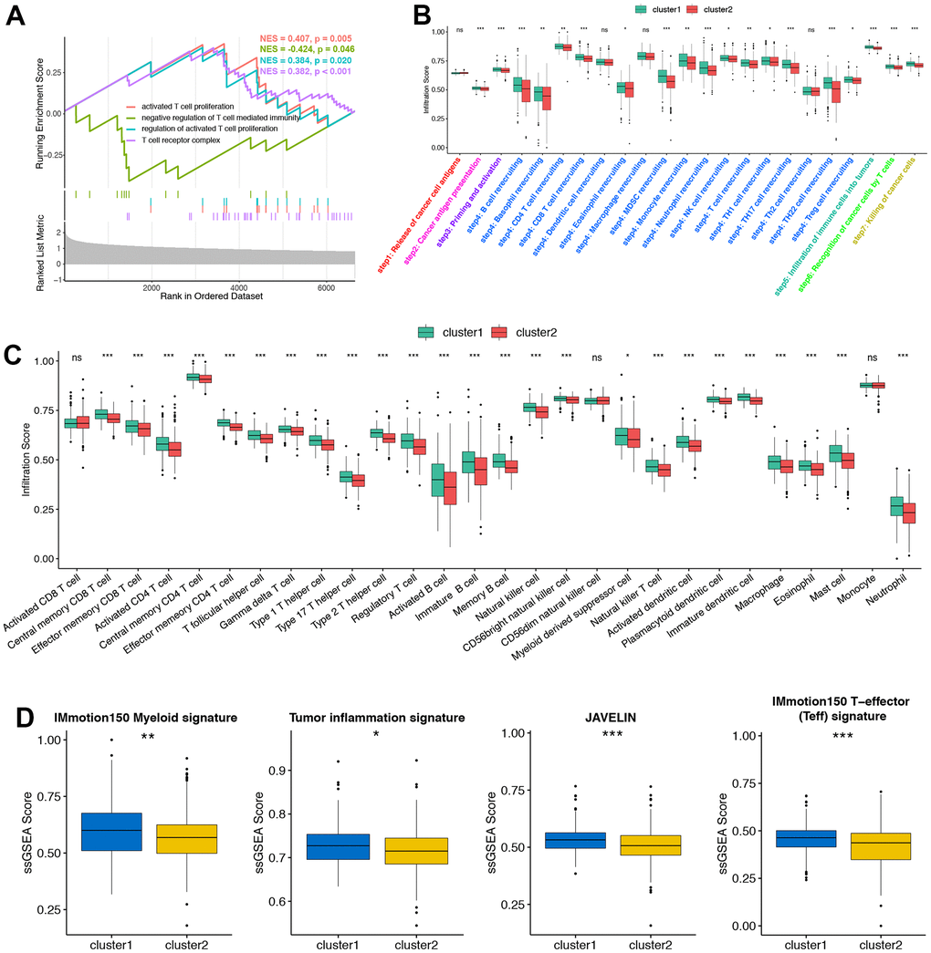 Consistency between ORGs patterns, tumor microenvironment (TME) phenotypes and immunotherapy efficacy. (A) T cell regulated pathways in gene ontology (GO) pathways using GSEA analysis. (B) The location of CNV alteration of ORGs on 43 chromosomes in the PRAD cohort. (C) Different infiltration status of immune cells into TME between two ORGs regulated patterns. Tumor, red; Normal, azure. (D) Box plots of IMmotion150 Myeloid signature, Tumor inflammation signature, JAVELIN and IMmotion150 T-effector (Teff) signature respectively between two ORGs regulated patterns. *p 