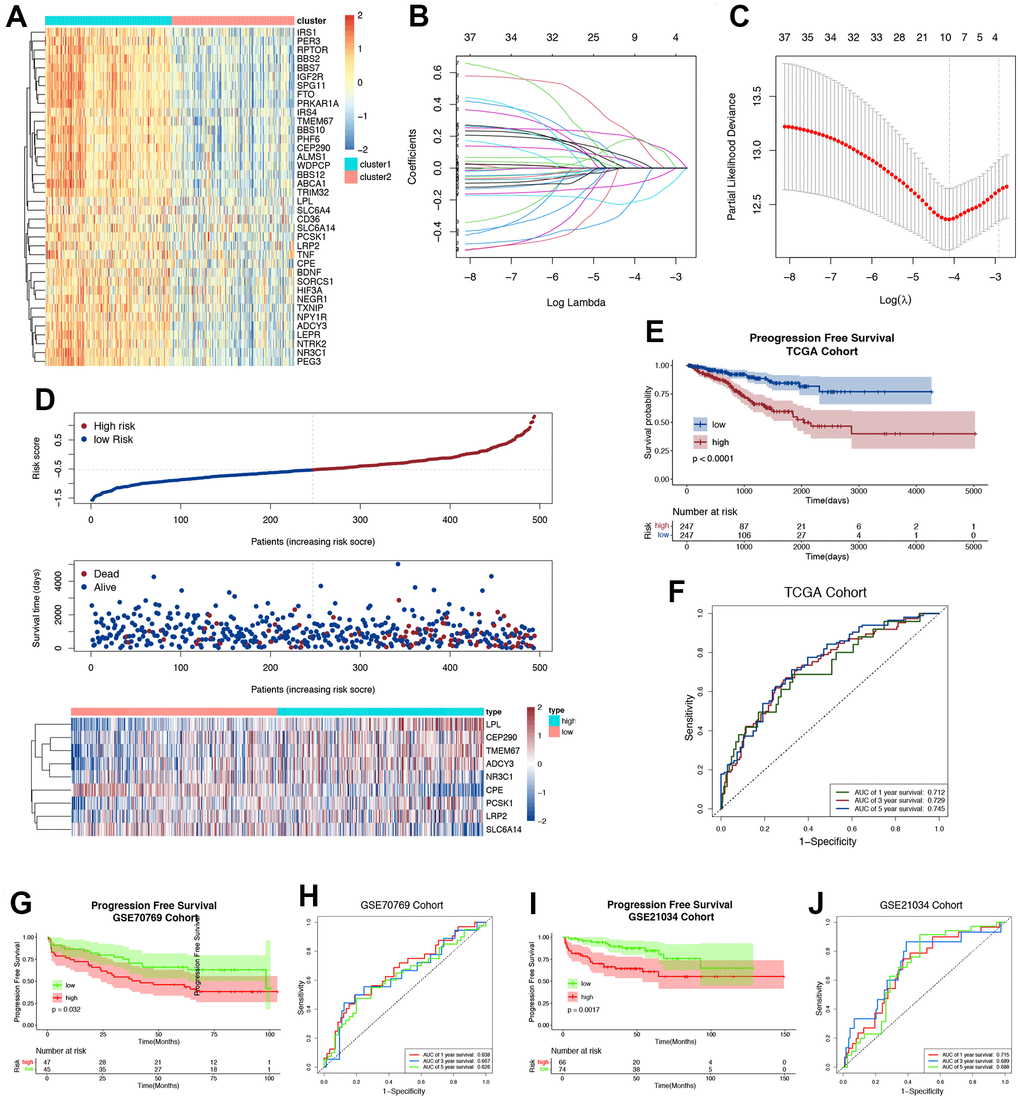 Construction and validation of ORGs risk score. (A) The expression levels of ORGs in two clusters. The darker color indicates a higher expression, where up-regulated genes were marked as red, and down-regulated genes were marked as blue. (B) LASSO regression of the ORGs possessing prognostic value. (C) Cross-validation for turning parameter selection via minimum criteria LASSO regression model. (D) Distribution of risk score, survival status and the expression of nine prognostic ORGs in PRAD. (E) Progression free survival (PFS) for PRAD patients in high-/low-risk group. (F) The ROC curve of measuring the predictive value. (G) The Kaplan-Meier survival plot of each patient in GSE70769 cohort. (H) The time-dependent ROC curves of ORGs risk score in GSE70769 cohort. (I) The Kaplan-Meier survival plot of each patient in GSE21034 cohort. (J) The time-dependent ROC curves of ORGs risk score in GSE21034 cohort.