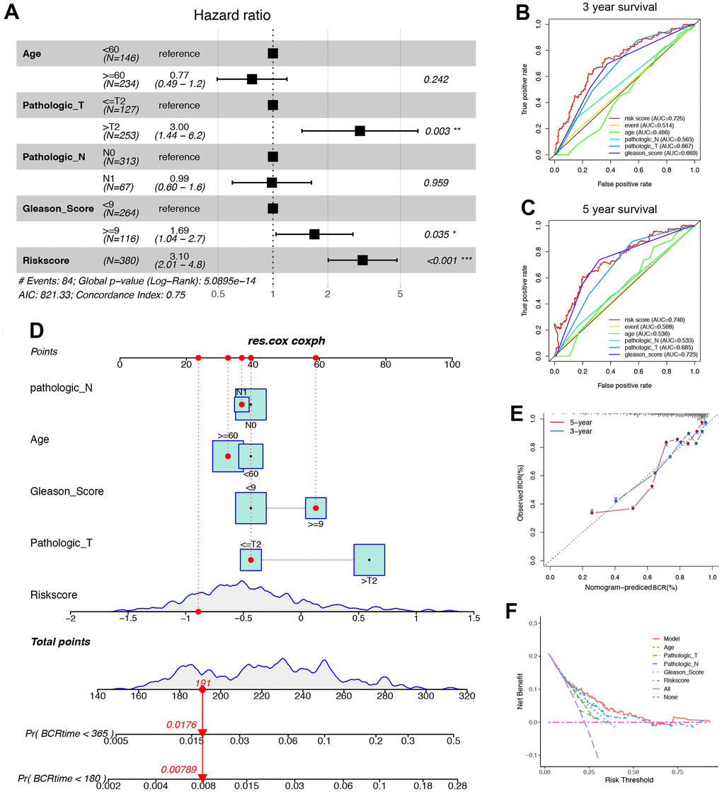 ORGs risk score associated with immune microenvironment is a valuable prognostic model in TCGA cohort. (A) In the multivariate COX regression, age, Pathologic