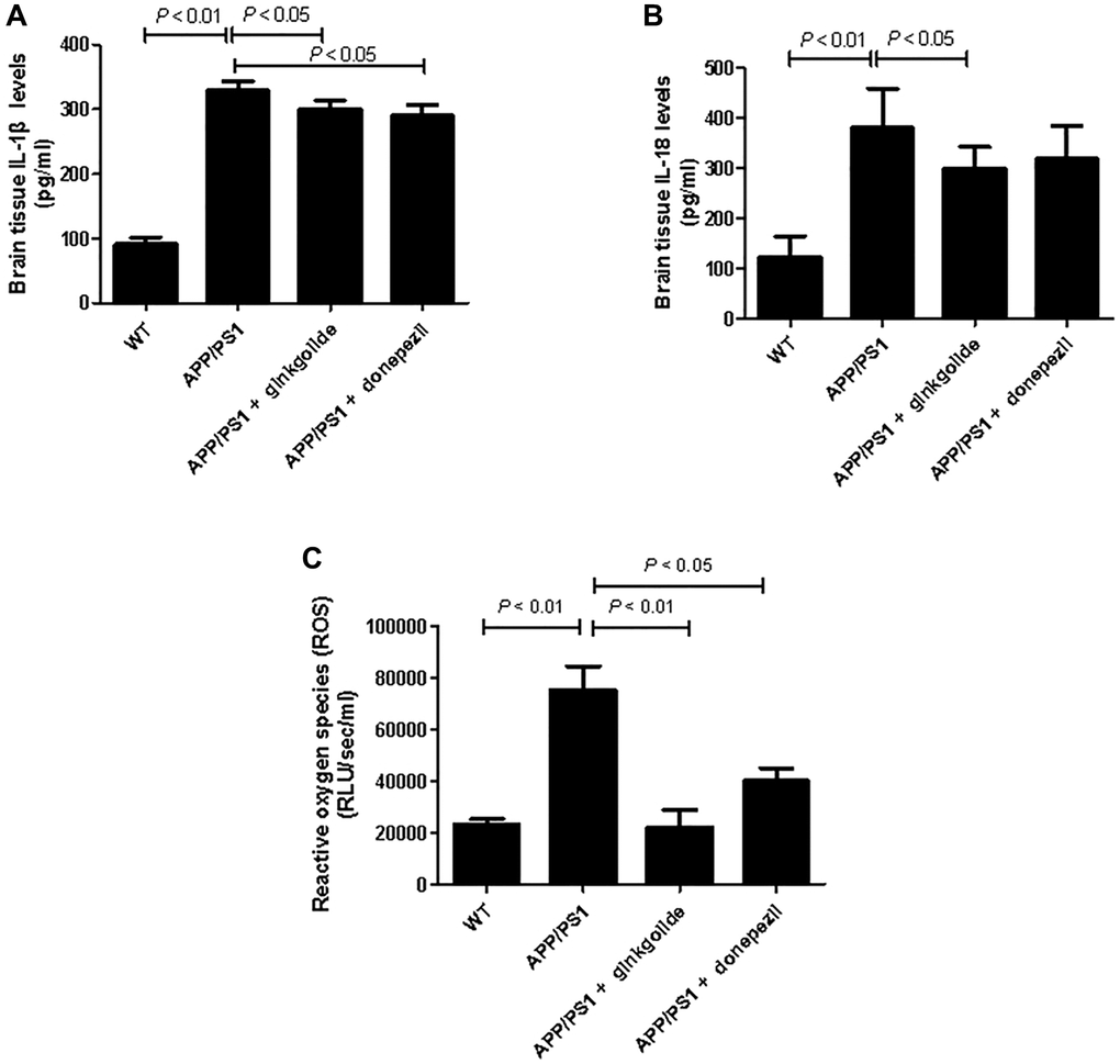 Effects of ginkgolide on (A) IL-1β, (B) IL-18, and (C) production of reactive oxygen species (ROS) in the brains (hippocampus and cortex) of APP/PS1 transgenic mice. Data are presented as mean ± standard deviation. Abbreviations: APP/PS1: amyloid precursor protein/presenilin 1; IL: interleukin; WT: wild-type.