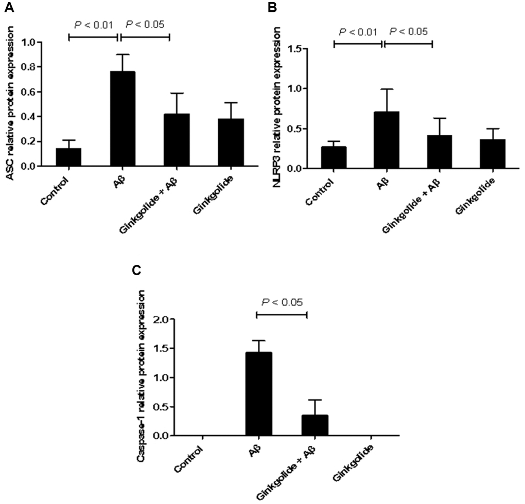 Effects of ginkgolide on mRNA expression levels of (A) ASC, (B) NLRP3, and (C) caspase-1 in BV-2 cells. Data are presented as mean ± standard deviation. Abbreviations: ASC: apoptosis-associated speck-like protein containing a CARD; NLRP3: nucleotide-binding oligomerization domain-like receptor family pyrin domain-containing 3.