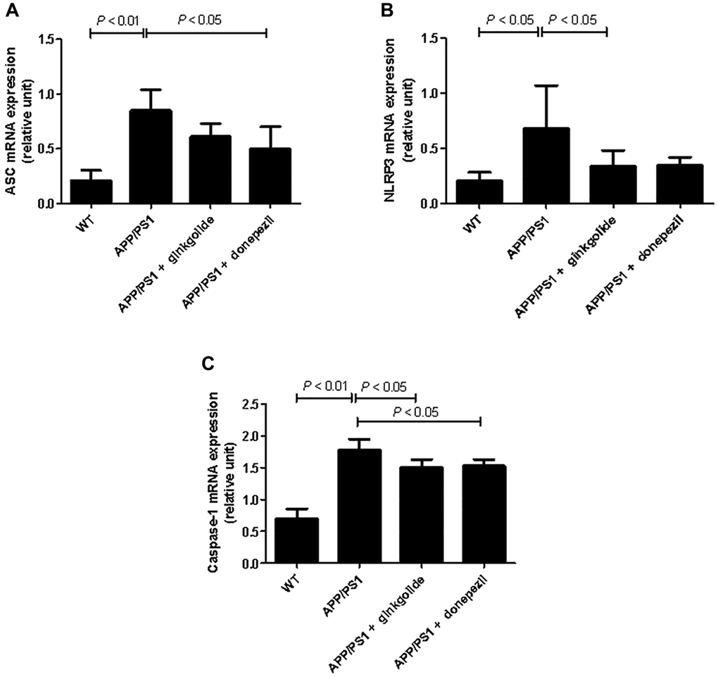 Effects of ginkgolide on the mRNA expression levels of (A) ASC, (B) NLRP3, and (C) caspase-1 in the brains (hippocampus and cerebral cortex) of APP/PS1 transgenic mice. Abbreviations: ASC: apoptosis-associated speck-like protein containing a CARD; APP/PS1: amyloid precursor protein/presenilin 1; NLRP3: nucleotide-binding oligomerization domain-like receptor family pyrin domain-containing 3; WT: wild-type.