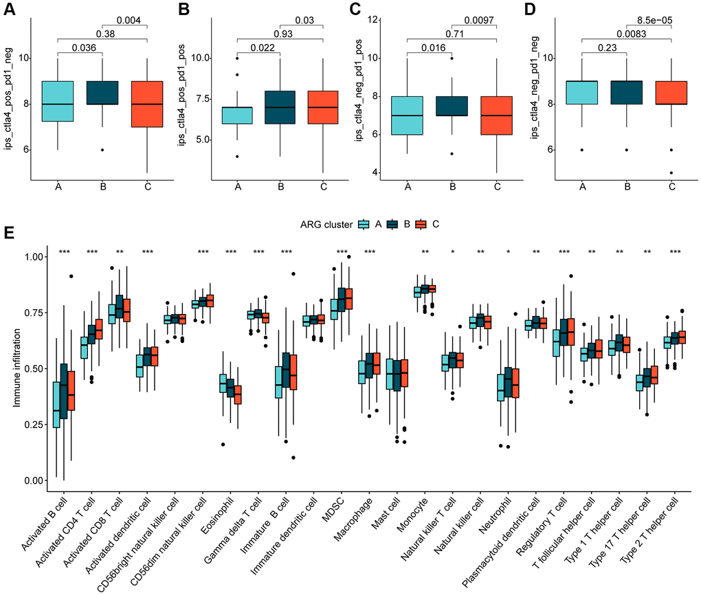 Immune infiltration of HCC molecular subtypes and immunotherapy assessment analysis. (A–D) IPS analysis reveals the therapeutic response of different HCC molecular subtypes to PD-1 and CTLA-4. (E) Immune infiltration landscape of HCC molecular subtypes assessed based on the ssGSEA algorithm. Statistical significance: *p **p ***p 