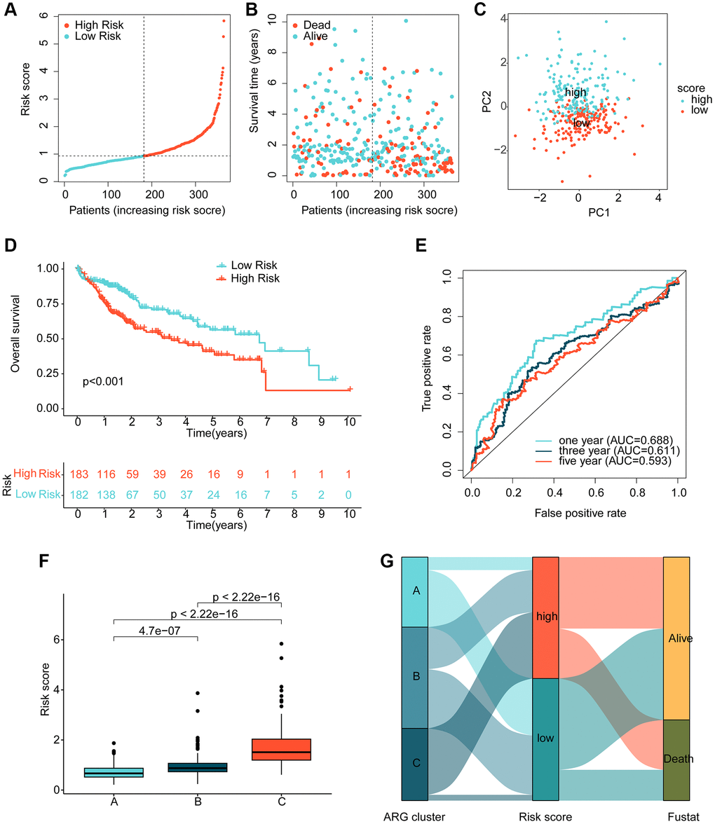 Risk model development based on prognostic ARGs. (A, B) Subgroup analysis of HCC risk based on prognostic ARGs. (C) Unsupervised PCA analysis. (D) Clinical survival outcome assessment of HCC risk subgroups. (E) Time-dependent ROC curve analysis. (F) Risk score distribution of HCC molecular subtypes. (G) Association analysis of HCC molecular subtypes, risk subgroups and clinical survival outcomes.