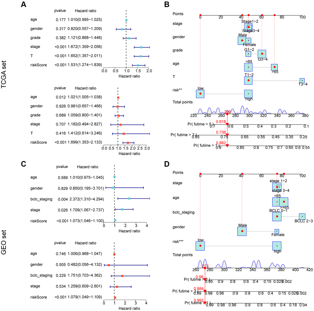 Independent prognostic assessment and nomogram development of risk models based on ARG constructs in different independent cohorts. (A, B) Independent prognostic analysis and nomogram construction in the TCGA cohort. (C, D) Independent prognostic analysis and nomogram construction in the GEO cohort.