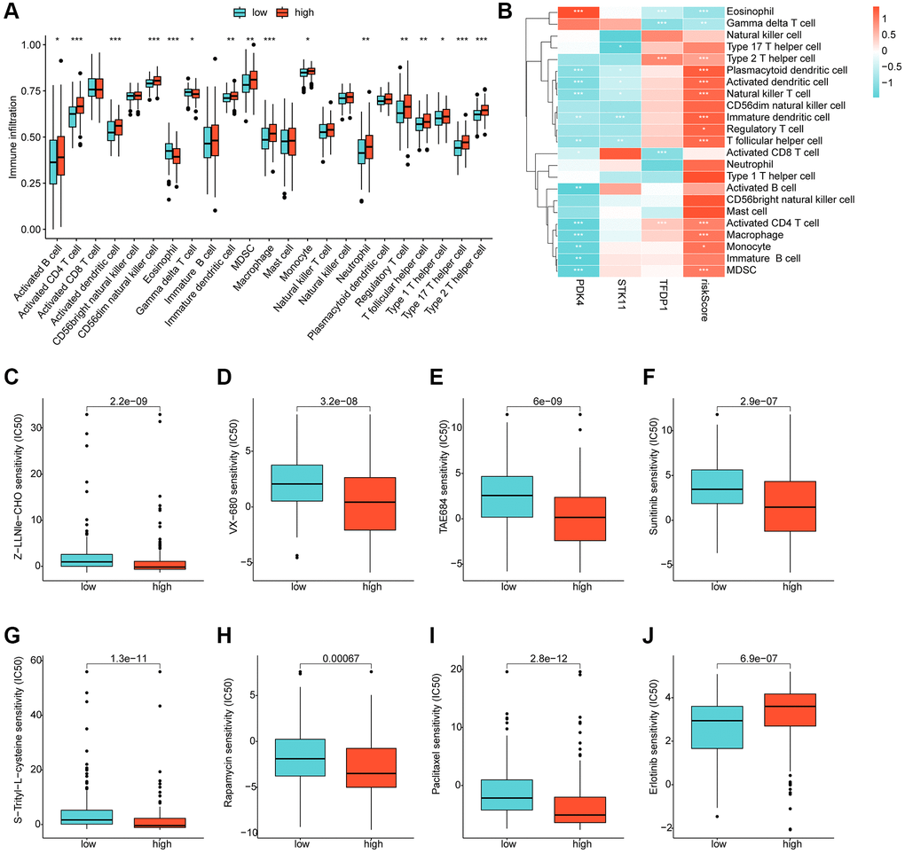 Immune infiltration landscape and drug sensitivity analysis for risk subgroups. (A) Immune cell proportion of risk subgroups assessed based on the ssGSEA algorithm. (B) Correlation analysis of independent prognostic factors and risk scores with immune cells. (C–J) Predictive analysis of drug sensitivity in risk subgroups.