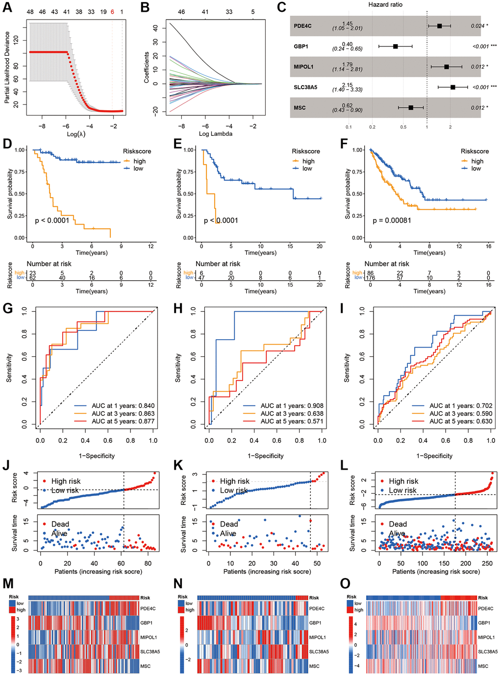 Development and validation of the IEGs score. (A, B) Lasso regression analysis of 79 prognostic DEGs. (C) Multivariate Cox regression analysis. (D–F) Kaplan-Meier curves in the TARGET, GSE21257 and TCGA-SARC cohorts. (G–I) The AUC for the prediction of 1, 3, 5 years survival rate. (J–L) Distribution of survival status and risk scores. (M–O) Heatmap of the five model genes between the high- and low-risk groups.