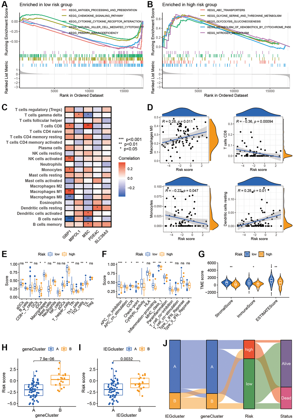 The IEGs score was related to immune infiltration. (A, B) GSEA was used to reveal the risk signature-related pathways. (C) Correlation between the five model genes and 22 immune cells based on CIBERSORT. (D) The association between IEGs score and immune cell infiltration. (E, F) Relationship between risk score and immune cell infiltration and related functions via ssGSEA analysis. (G) Risk scores were significantly correlated with Stromal scores, Immune scores, and ESTIMATE scores. (H, I) The difference in risk score among IEGs cluster and prognostic gene cluster. (J) Sankey plot of IEG subtype distribution in groups with different risk scores and survival status.